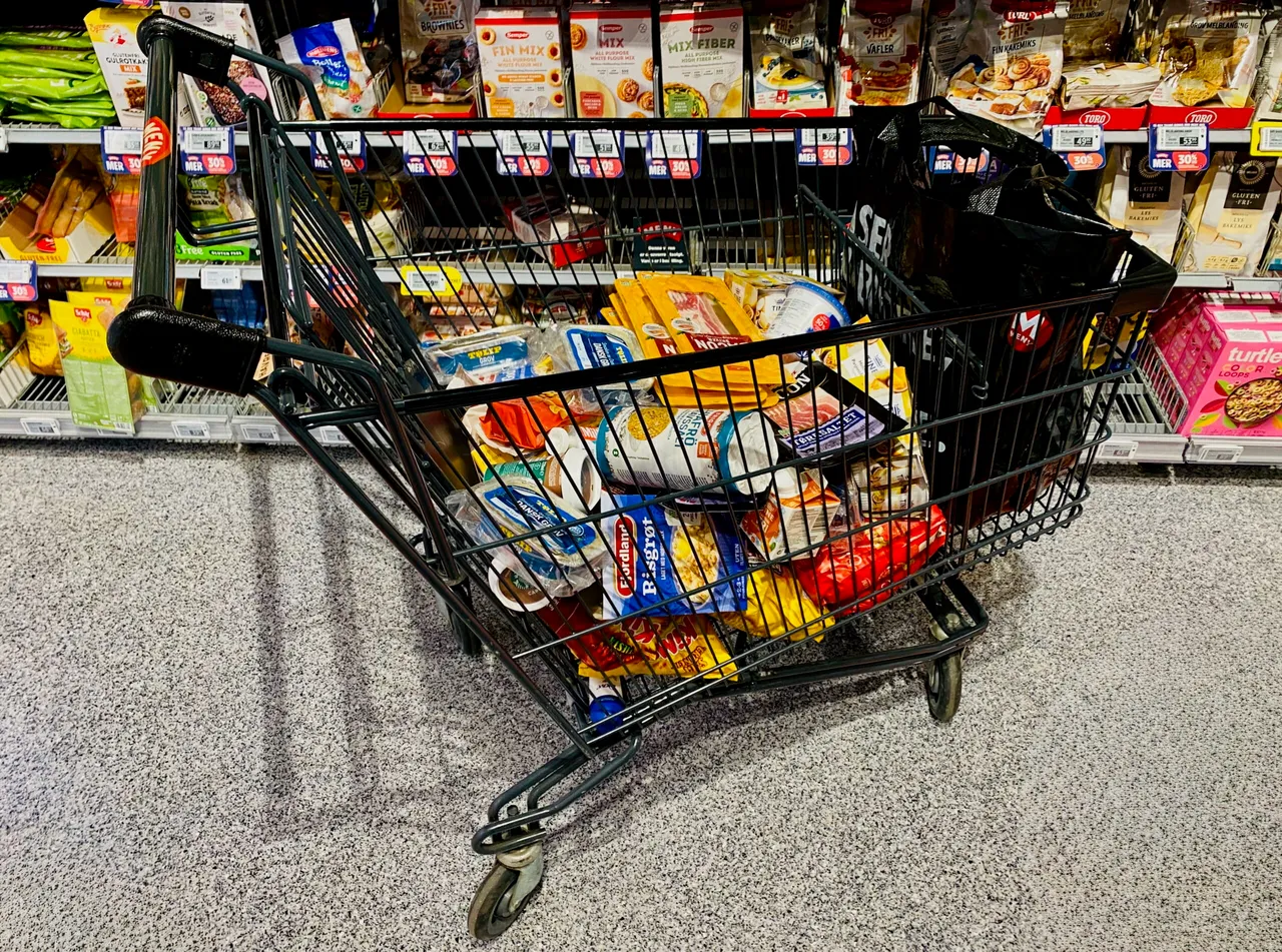 Forsidebilde til innlegget som viser en handlekurv med mange matvarer i en butikk