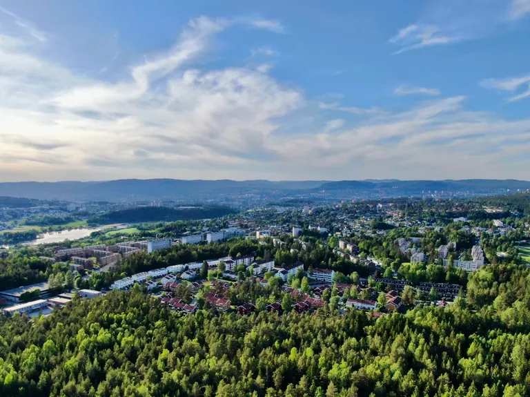 Forsidebilde til innlegget som viser et boligstrøk i Oslo