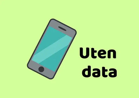 Forsidebilde til innlegget som viser en illustrasjon av en mobil telefon og teksten "uten data"
